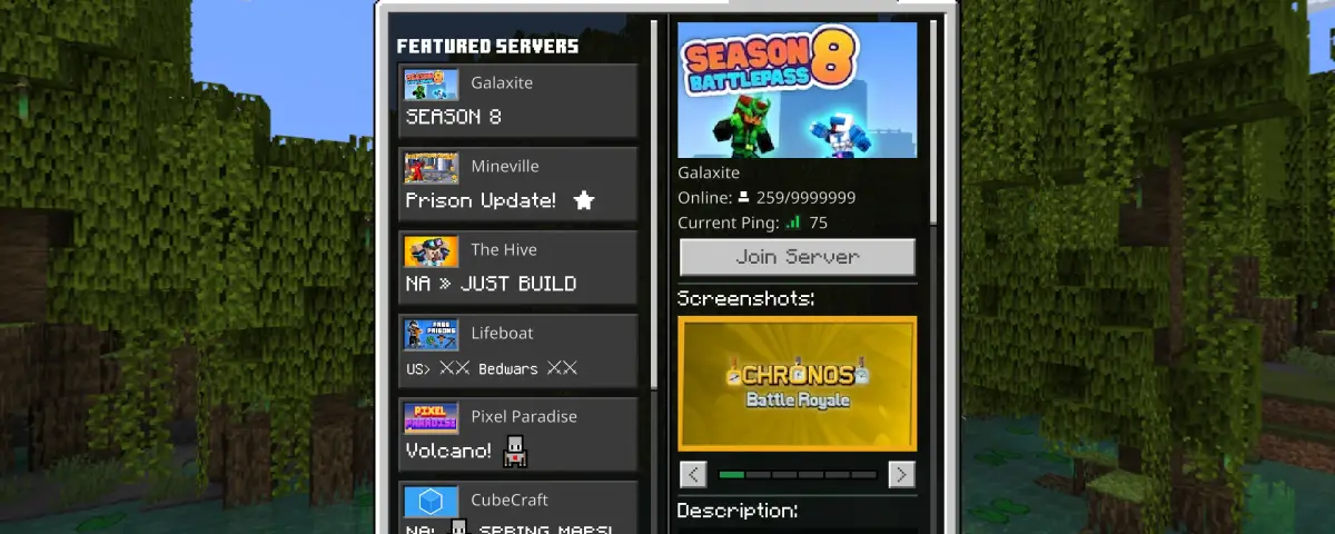 How to Join a Minecraft Bedrock Edition Server: Cross-Platform Connection Guide