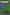 Necesse server hosting cover image